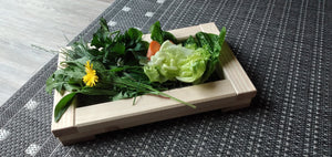 Frischfutterplatte für Kaninchen, Gras, Gemüse und Obst liegt auf eingefasstem Draht. 